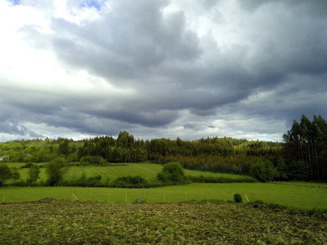 albergue